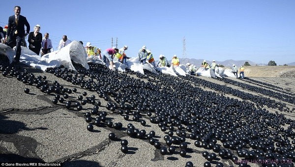 場面壯觀!洛杉磯水庫撒入近1億個黑球