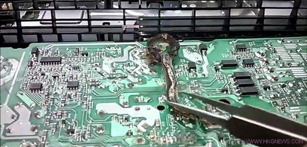 修理PS4時竟然發現裡面有一條蛇