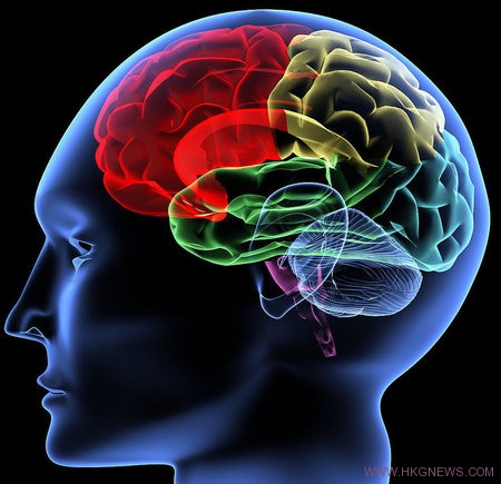 研究顯示常打機者大腦結構與他人不同