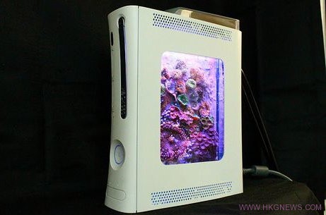 舊版Xbox360三紅後機穀用來養珊瑚