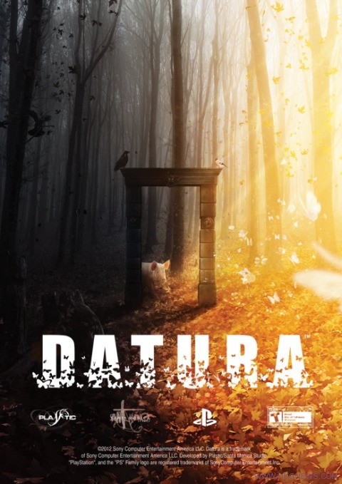 Santa Monica新作品《DATURA》