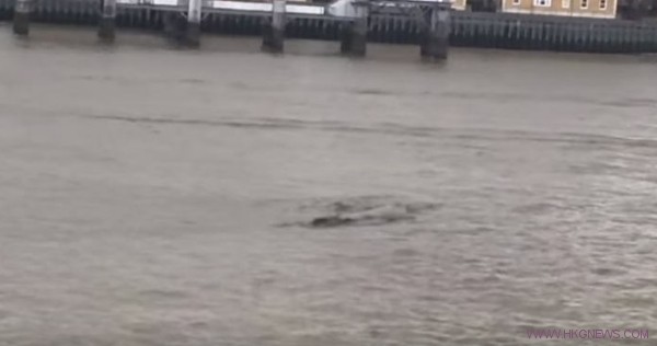 泰晤士河上再現浮沉巨形生物