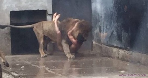 赤身裸體闖入獅籠想自殺，但最後死的卻是獅子